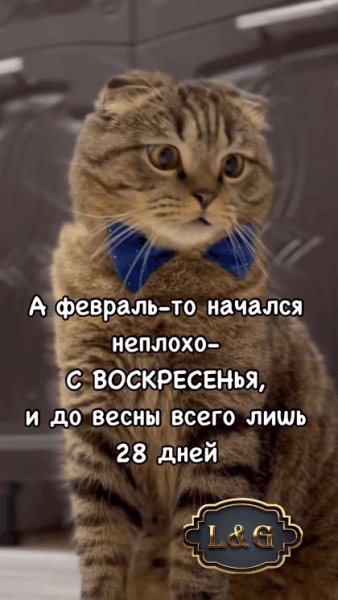 С февралём Вас....