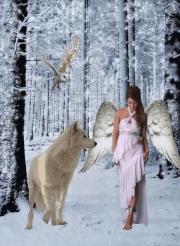 Woman Girl GIF - Woman Girl Forest - Discover &amp; Share GIF