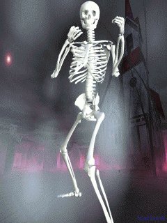 Скелет 2
