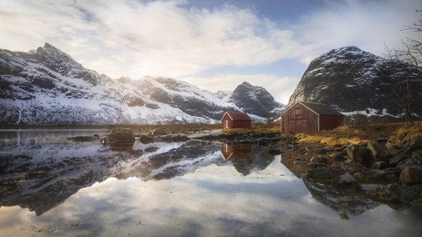 Backiee-113266-landscape