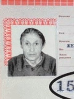 file_97133078