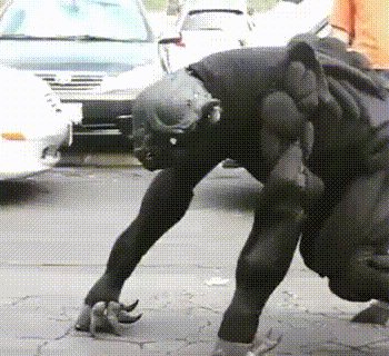 муха