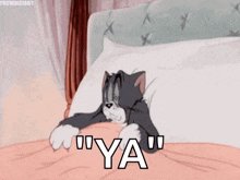 Yawn-tom-and-jerry