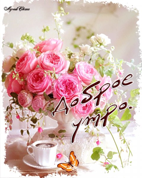 Доброе утро