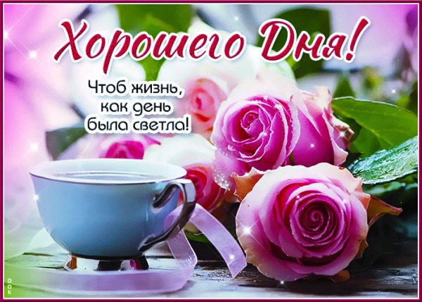 file_99049050