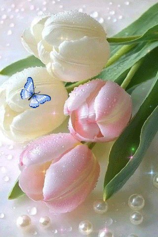 KjS9wpen6xN1yQ