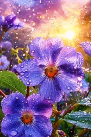 file_100214368