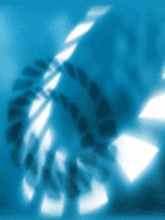 file_81015572