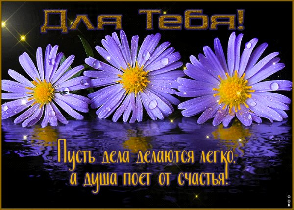 file_99068660