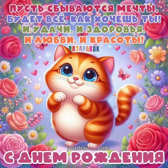 Dr-pozdravok-kotik