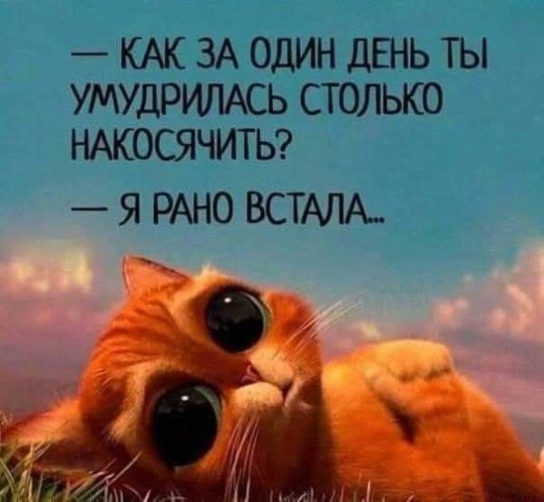 FB IMG 1757350287555