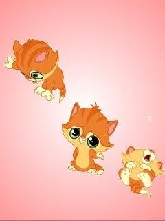 kittens 2
