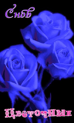 file_99595254