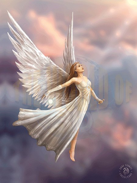 Ascendance 3D Lenticular Print Caszmy Collections