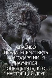 4a2558ecef41f8cf4d46b5b7ad9e8fd1