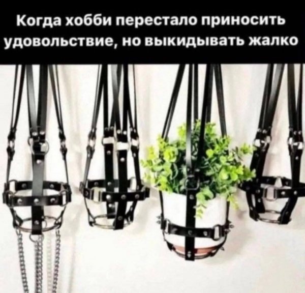 FB IMG 1757436386116