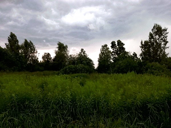 Гроза едет