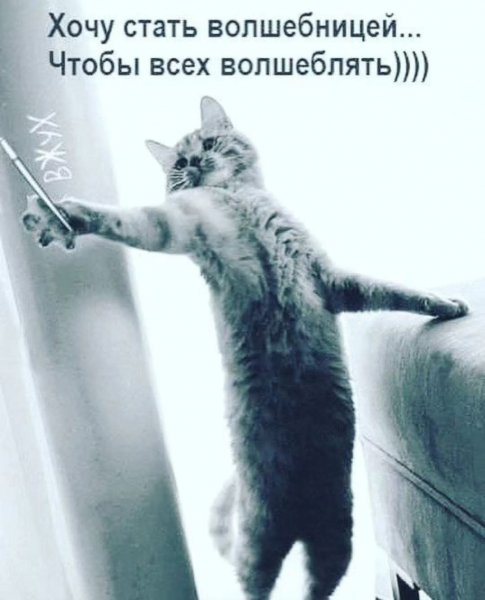 FB IMG 1757350143589