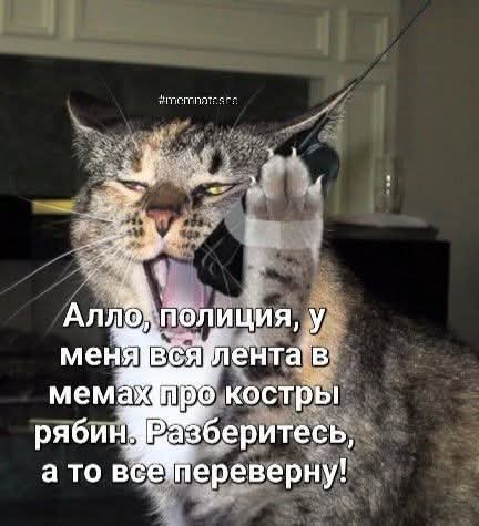 FB IMG 1757437124347