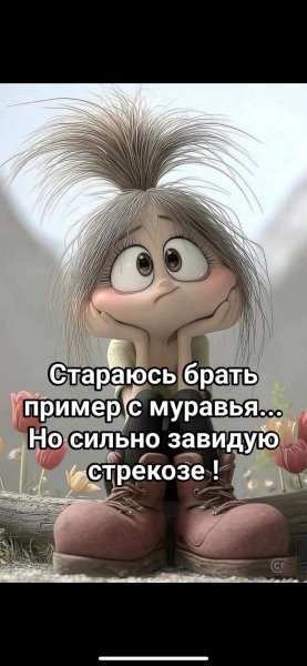 FB IMG 1756635116541