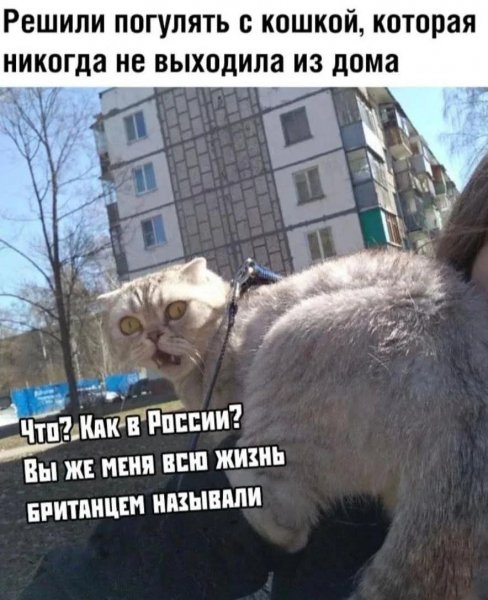 FB IMG 1757437352729