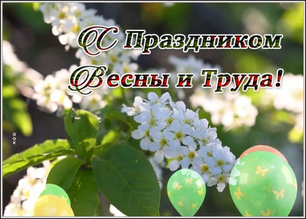 file_99674251