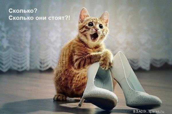 Маркиз и кот в сапогах