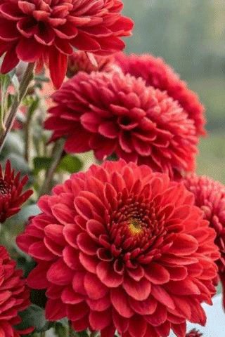 file_100398318