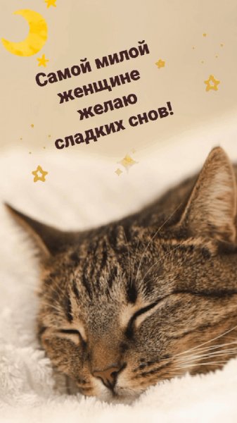 Доброй ночи