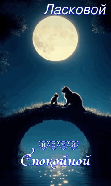 file_99050450