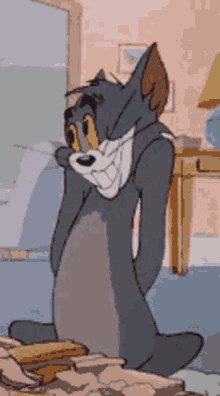 Tom-and (1)