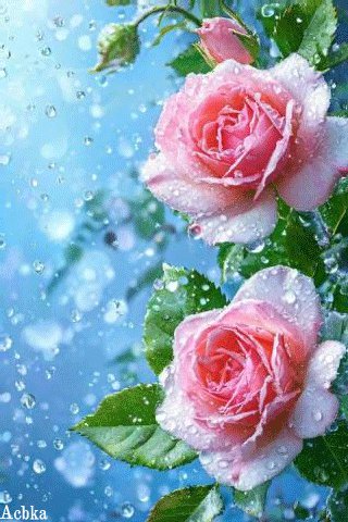 file_99121768