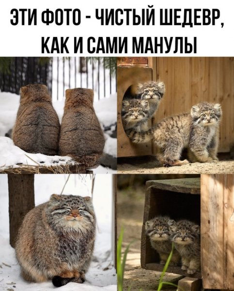 file_99093540