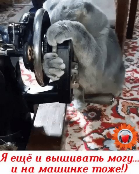 IMG 20231110 180257