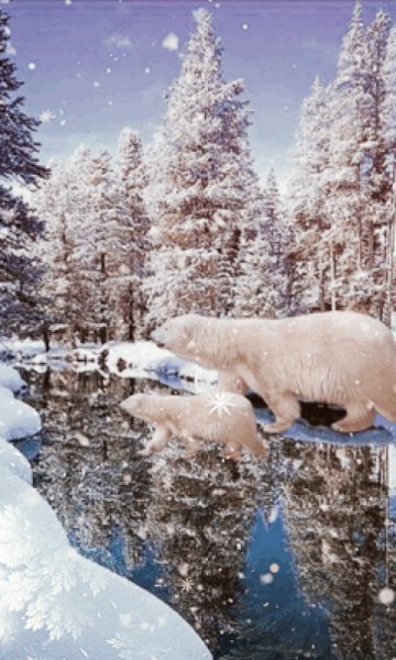 file_98725258