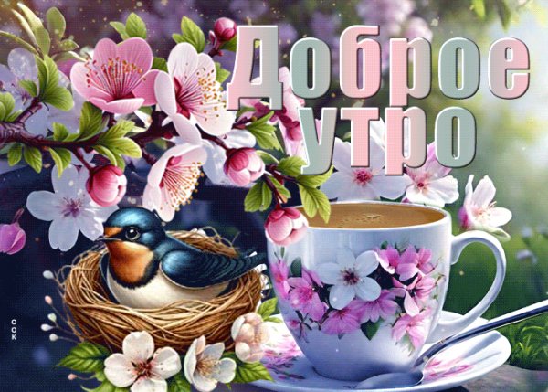 file_99657764