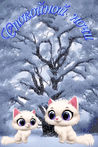 file_98509086