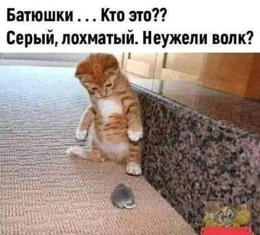 FB IMG 1757358042325