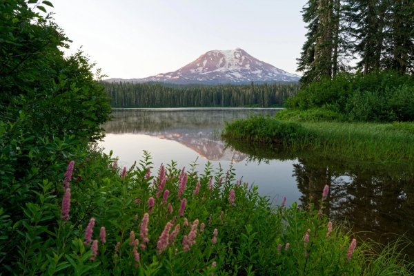 file_100477046