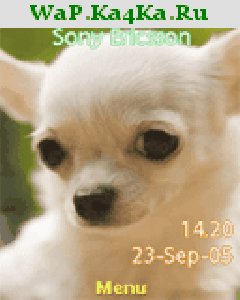 file_4348528