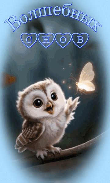 file_98683134