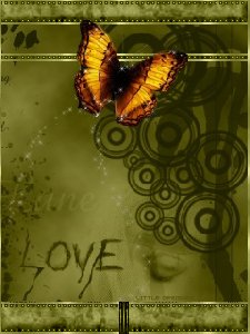 Butterfly Love Animated