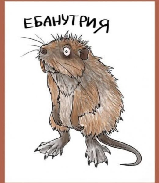 ))