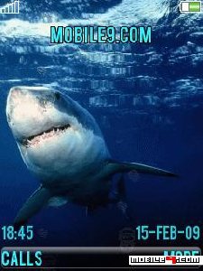 theshark sdcjqnifакул.аним