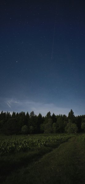 file_100457597