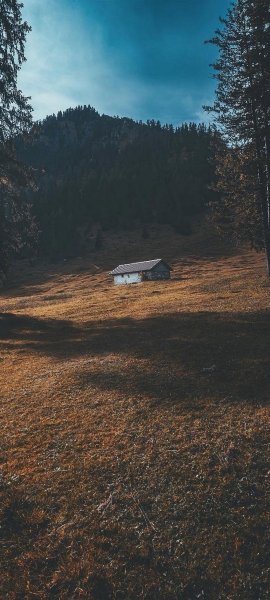 adapted 1080x2400 1754558212
