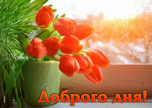 Анимированная открытка доброго дня (1)