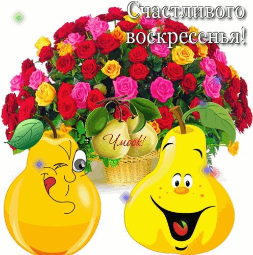 file_93842385