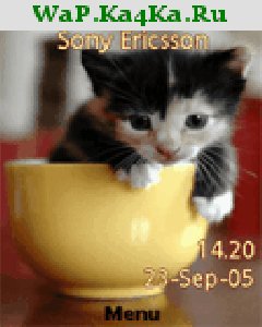 file_4348896