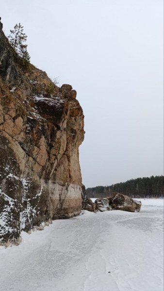 IMG 20250130 000017